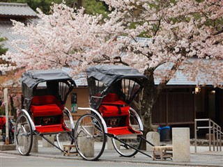 Japan vejrudsigt