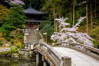 Japán időjárás-jelentés