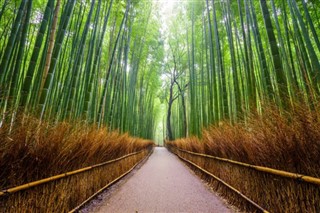 Japón pronóstico del tiempo