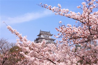 Japonya hava tahmini