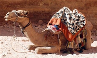 Jordan weather forecast