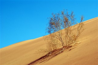 الأردن توقعات الطقس
