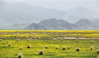 Kasakhstan vejrudsigt