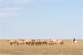 kazakistan hava tahmini