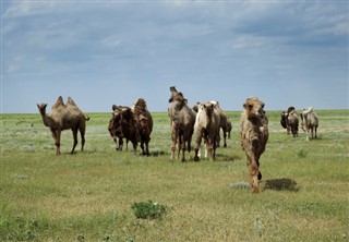 Kazakhstan prévisions météorologiques
