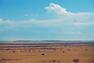 Kenya időjárás-jelentés