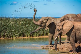 Kenia pronóstico del tiempo