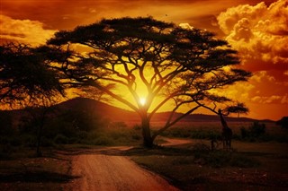 Kenya hava tahmini