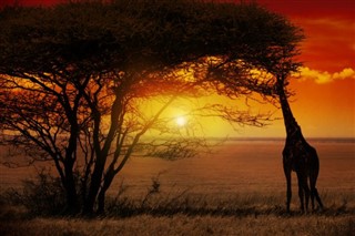 Kenya hava tahmini