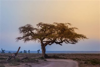 Kenya hava tahmini