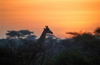 Kenya hava tahmini