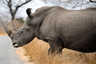 Kenia pronóstico del tiempo