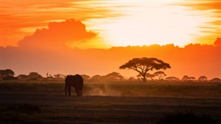 Kenya időjárás-jelentés