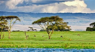 Kenya prévisions météorologiques