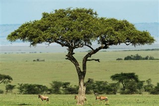 Kenya hava tahmini