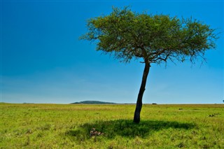 Kenya vejrudsigt