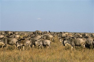 Kenya hava tahmini