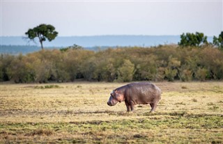 Kenya vejrudsigt