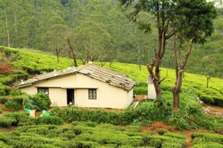 Kenya Hava tahmini