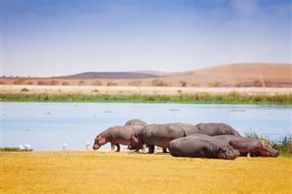 Kenya hava tahmini