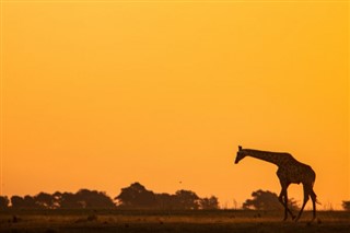 Kenya vejrudsigt