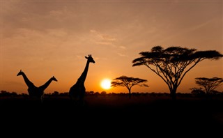 Kenya weather forecast