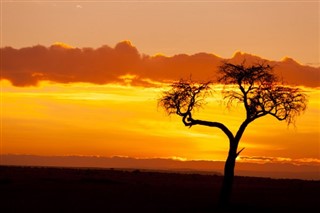 Kenya prévisions météorologiques