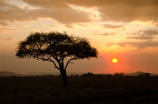 Kenya Hava tahmini
