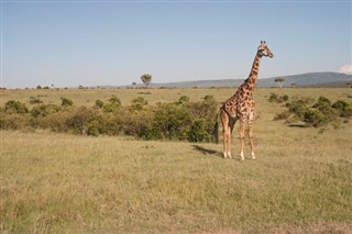 Kenya prévisions météorologiques