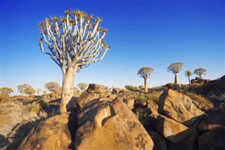 Kenya hava tahmini