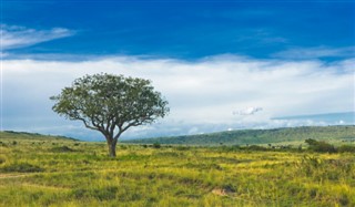 Kenya hava tahmini