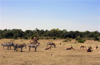 Kenya hava tahmini