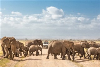 Kenya hava tahmini