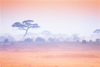 Kenya hava tahmini