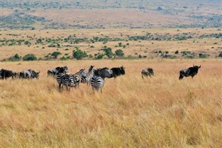 Kenya hava tahmini