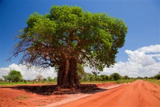 Kenya Hava tahmini