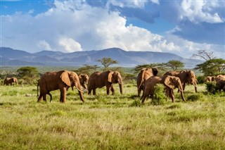 Kenya prévisions météorologiques