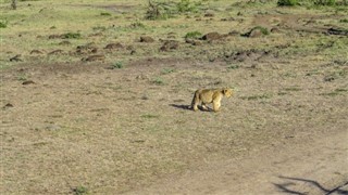 Kenya prévisions météorologiques