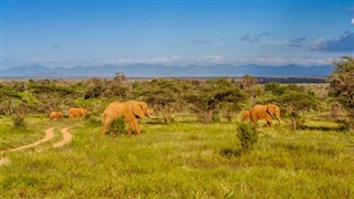 Kenya prévisions météorologiques