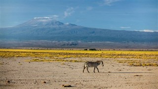 Kenya Időjárás-jelentés