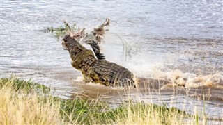 Kenya hava tahmini
