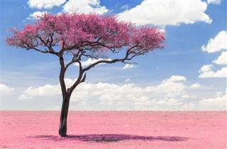 Kenya hava tahmini