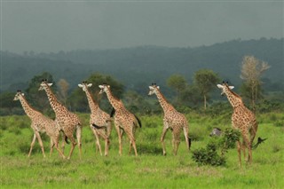 Kenya vejrudsigt