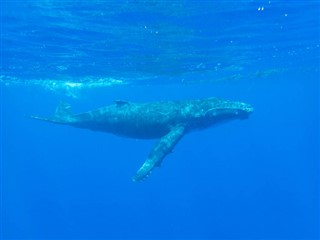 Kiribati hava tahmini
