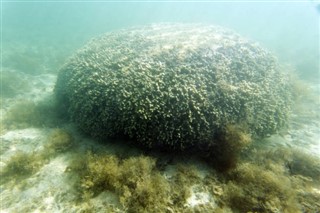 Kiribati hava tahmini
