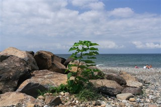 Kiribati hava tahmini