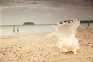 Kiribati Hava tahmini