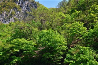 Korea, North vejrudsigt