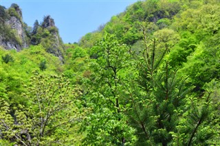 Kuzey Kore hava tahmini