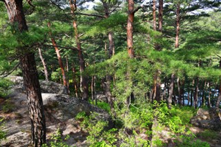 Korea, North vejrudsigt
